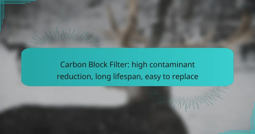 Carbon Block Filter: high contaminant reduction, long lifespan, easy to replace