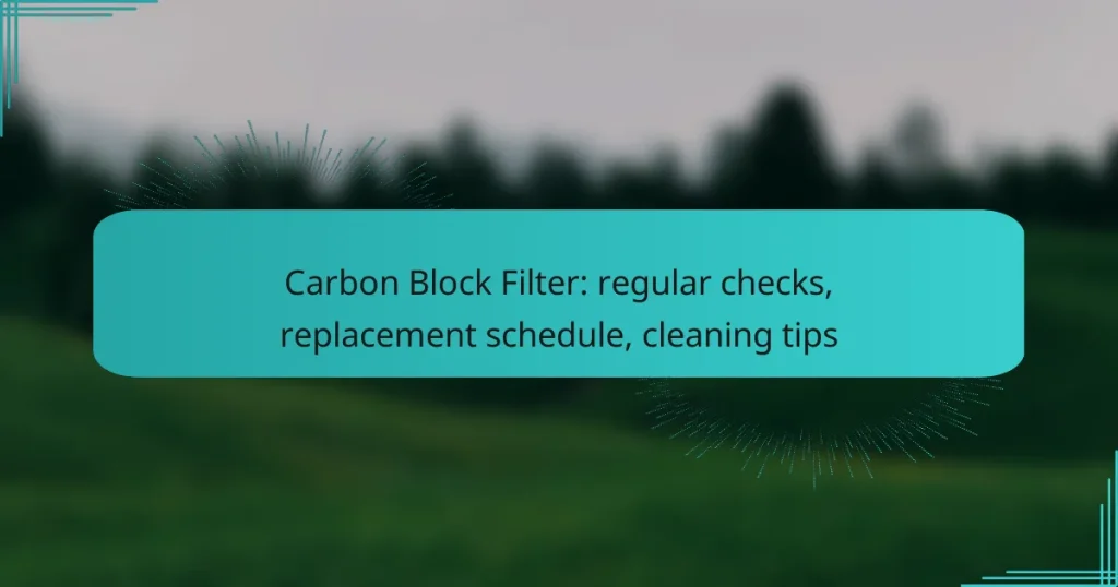 Carbon Block Filter: regular checks, replacement schedule, cleaning tips