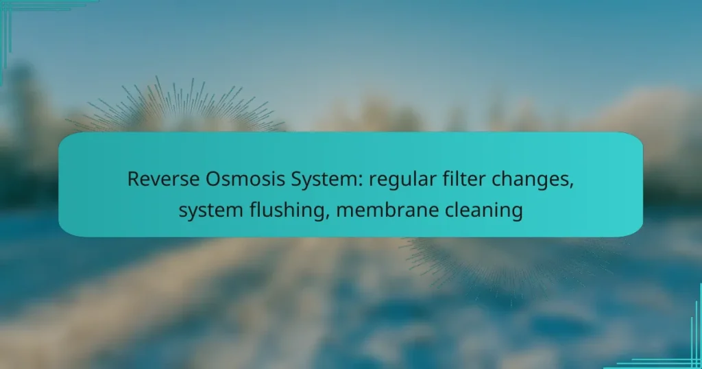 Reverse Osmosis System: regular filter changes, system flushing, membrane cleaning