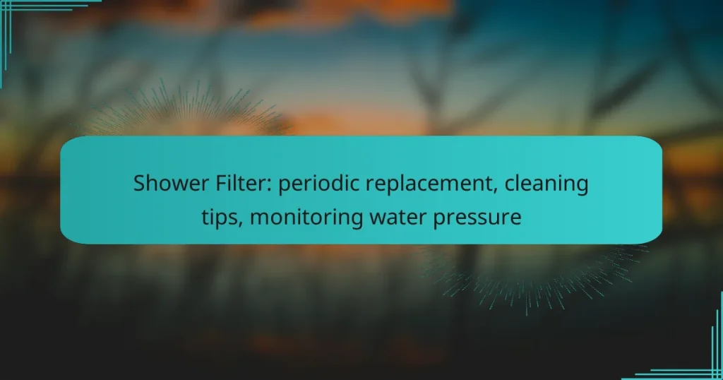 Shower Filter: periodic replacement, cleaning tips, monitoring water pressure