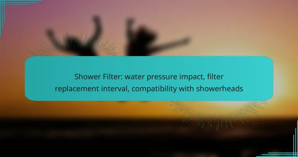 Shower Filter: water pressure impact, filter replacement interval, compatibility with showerheads