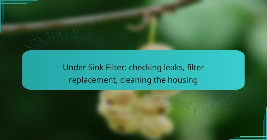 Under Sink Filter: checking leaks, filter replacement, cleaning the housing
