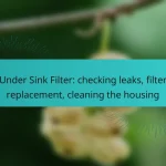 Under Sink Filter: checking leaks, filter replacement, cleaning the housing