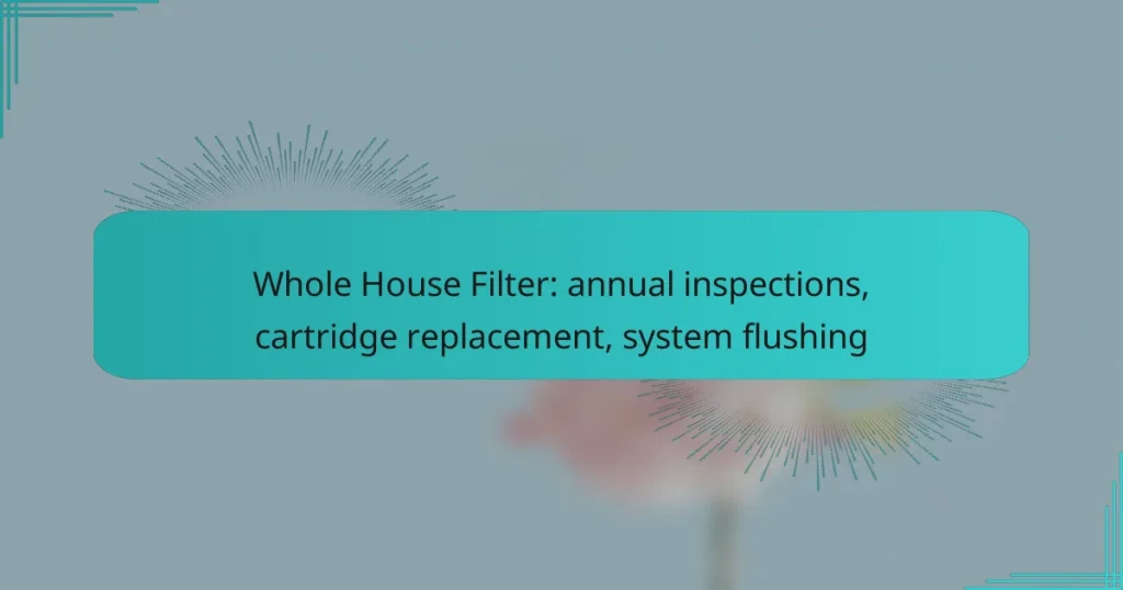 Whole House Filter: annual inspections, cartridge replacement, system flushing