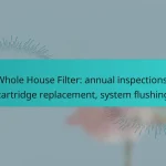 Whole House Filter: annual inspections, cartridge replacement, system flushing