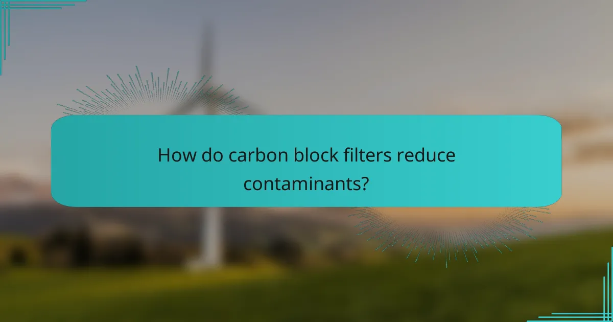 How do carbon block filters reduce contaminants?