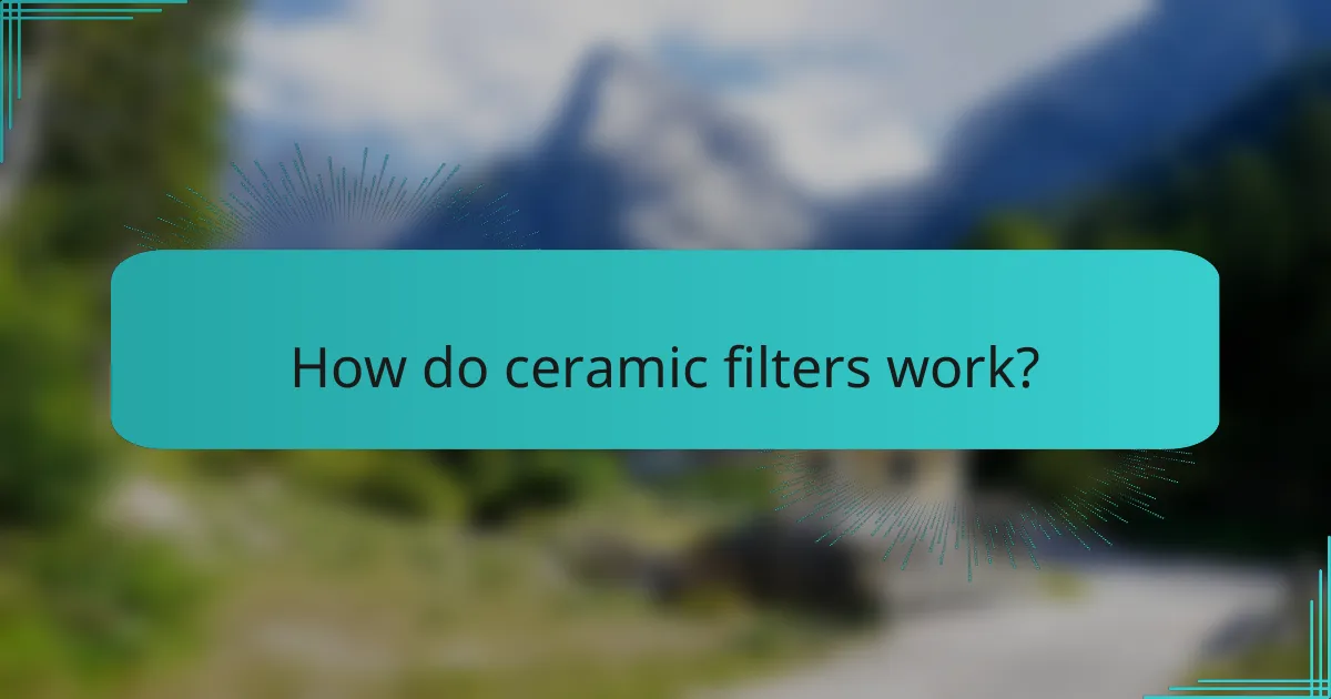 How do ceramic filters work?