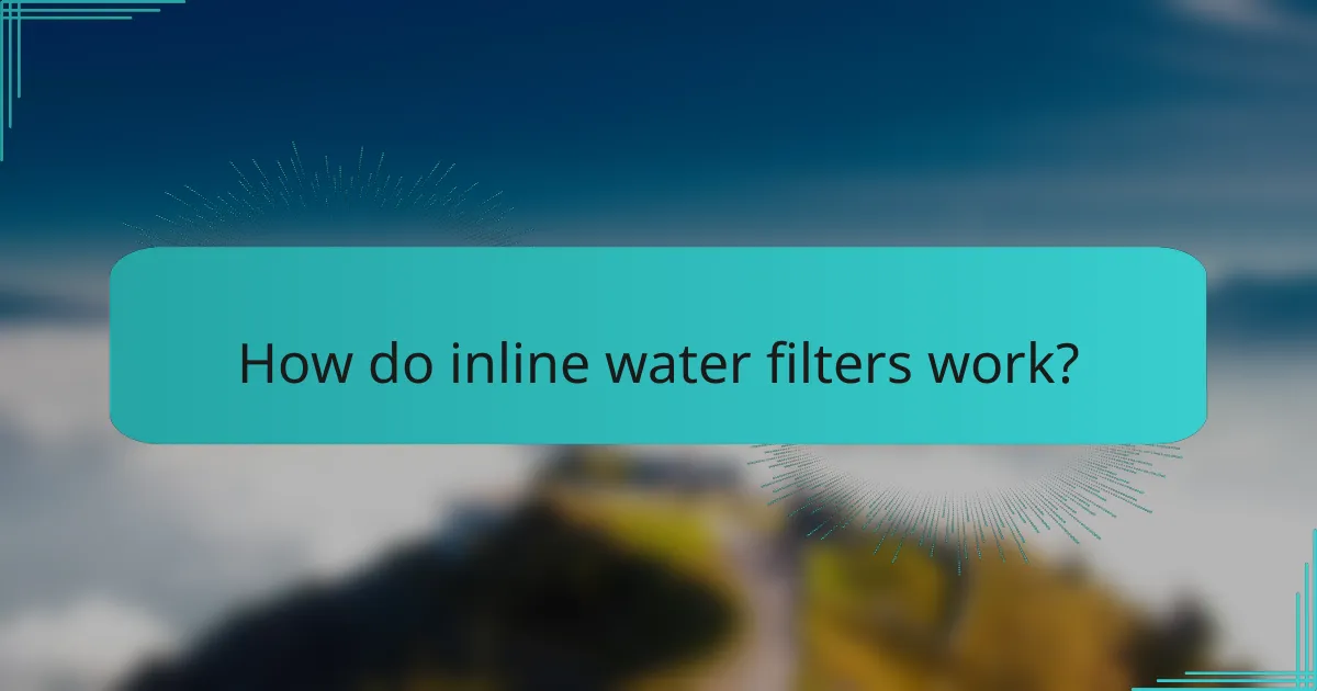How do inline water filters work?