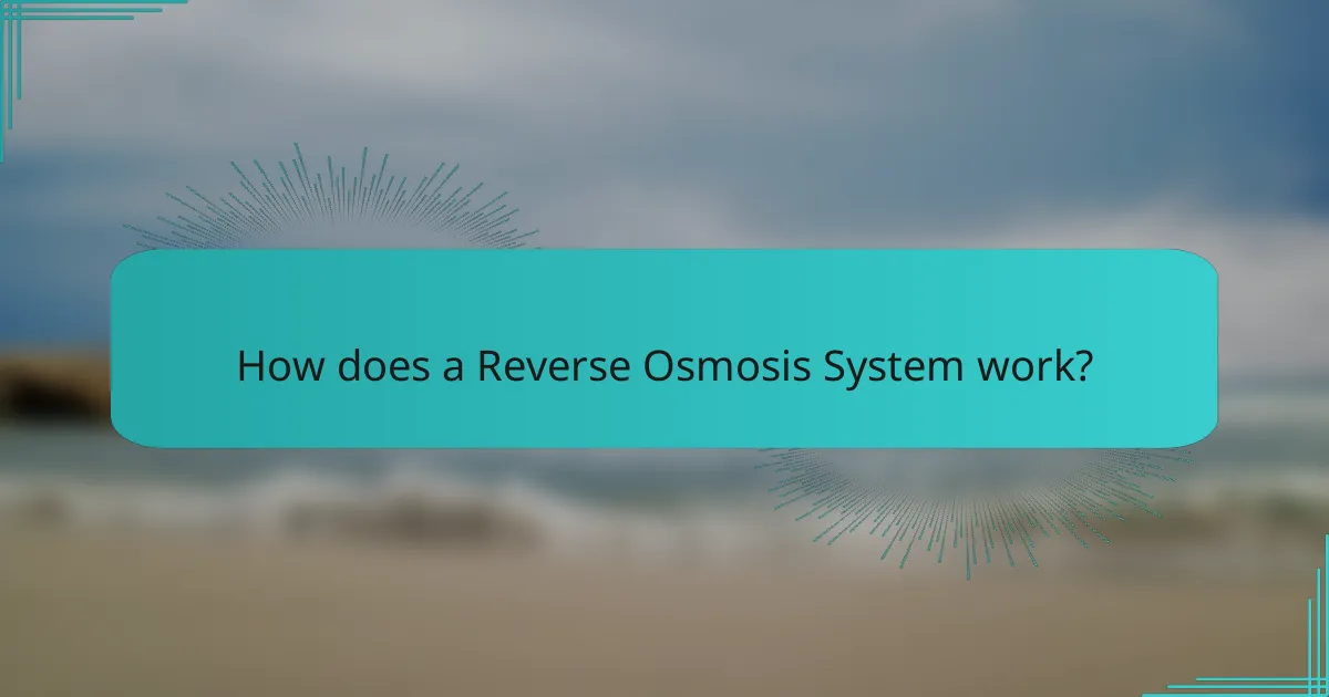 How does a Reverse Osmosis System work?