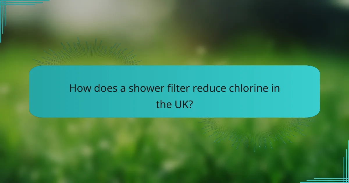 How does a shower filter reduce chlorine in the UK?