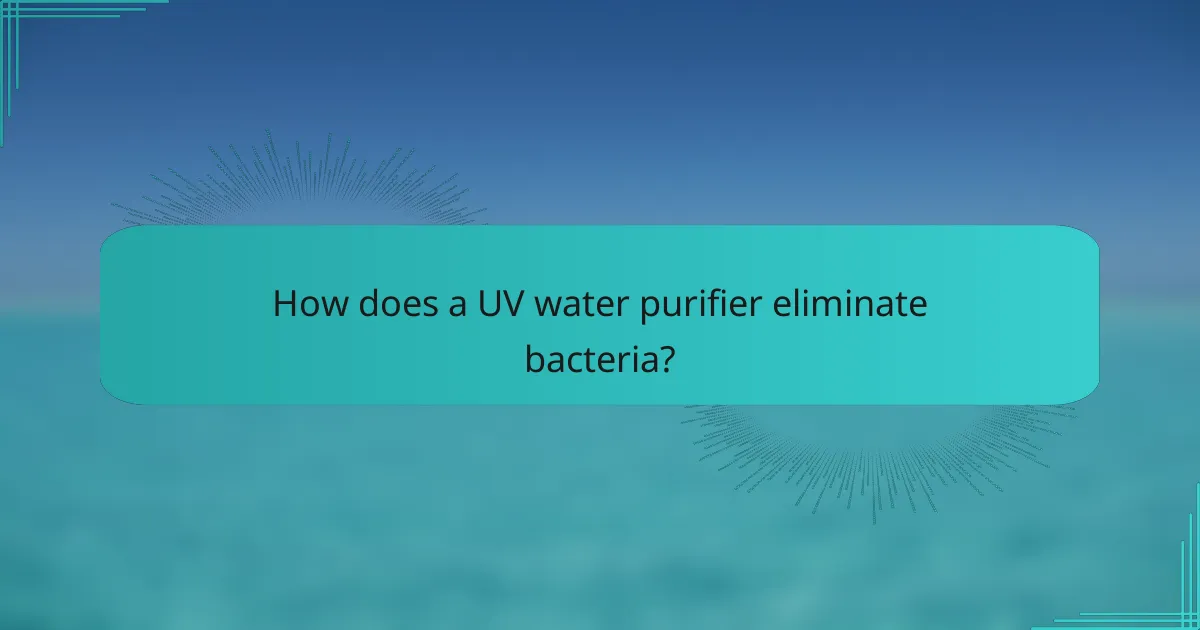 How does a UV water purifier eliminate bacteria?