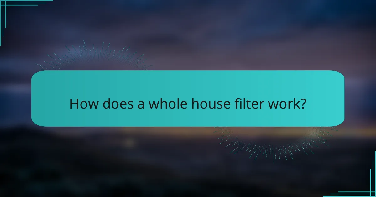 How does a whole house filter work?