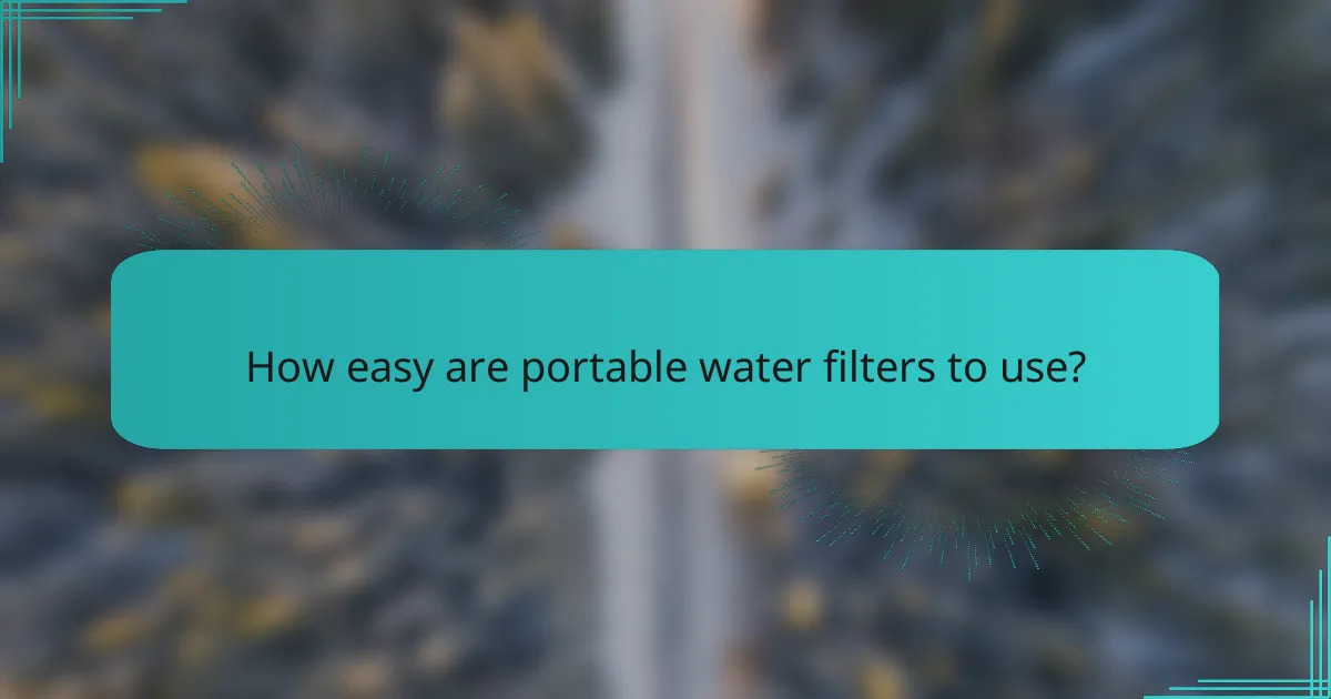 How easy are portable water filters to use?