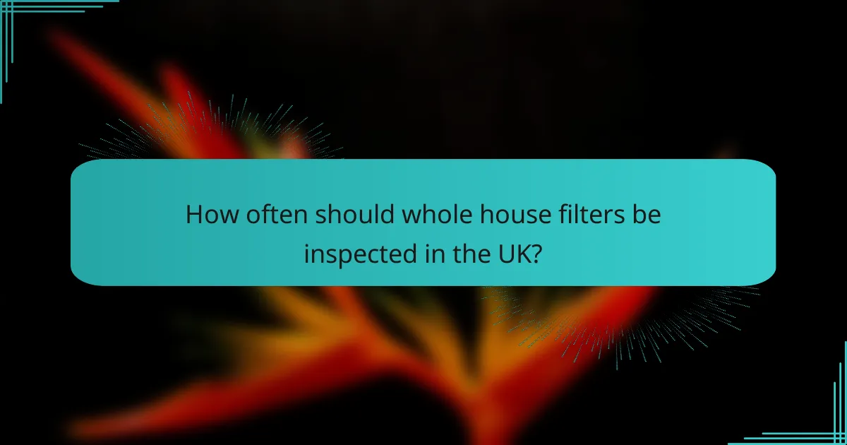 How often should whole house filters be inspected in the UK?