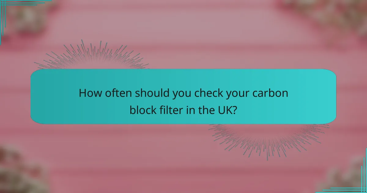 How often should you check your carbon block filter in the UK?