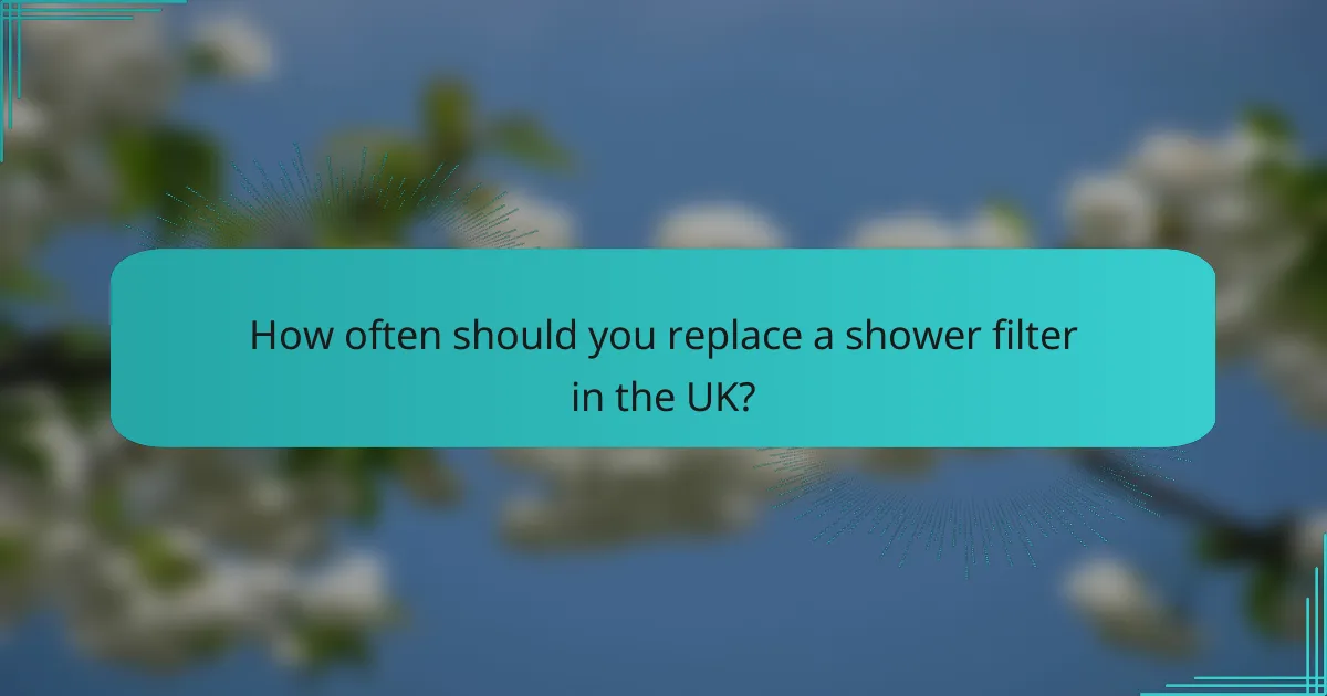 How often should you replace a shower filter in the UK?