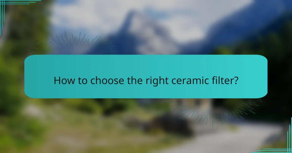 How to choose the right ceramic filter?