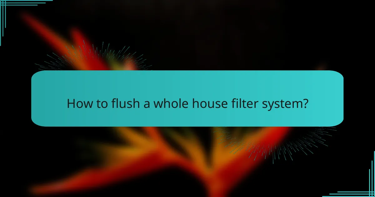 How to flush a whole house filter system?