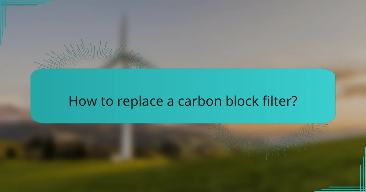 How to replace a carbon block filter?