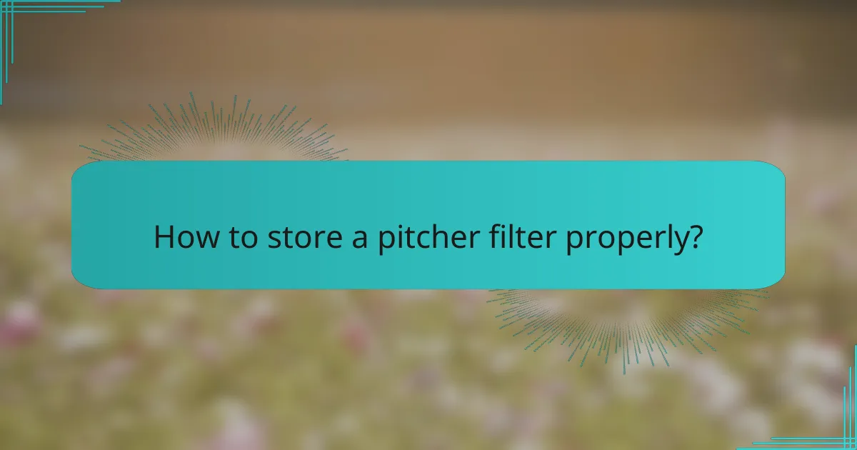 How to store a pitcher filter properly?