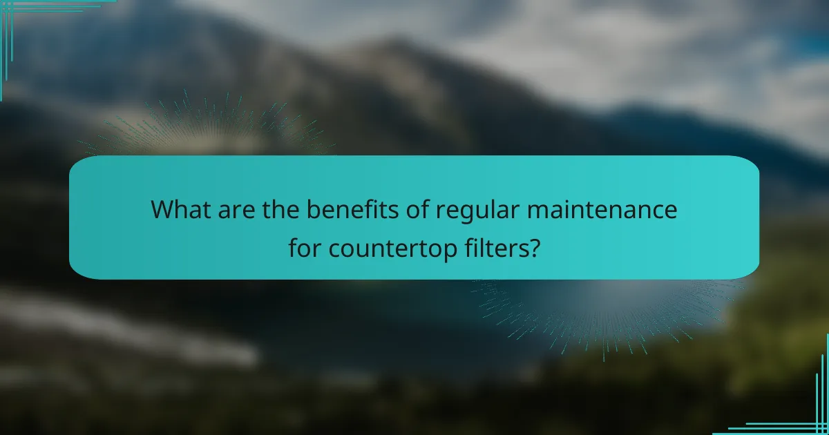 What are the benefits of regular maintenance for countertop filters?