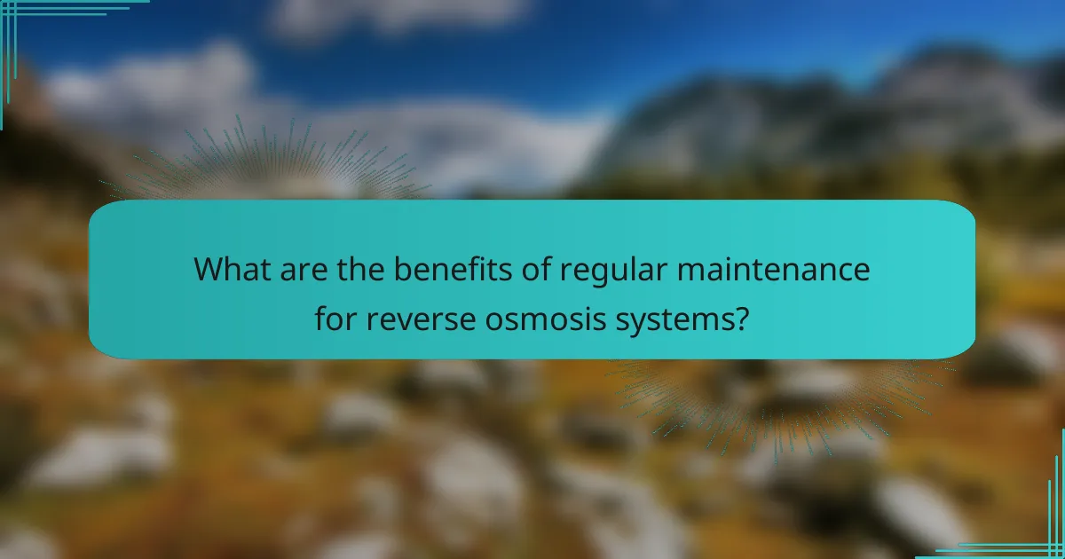 What are the benefits of regular maintenance for reverse osmosis systems?