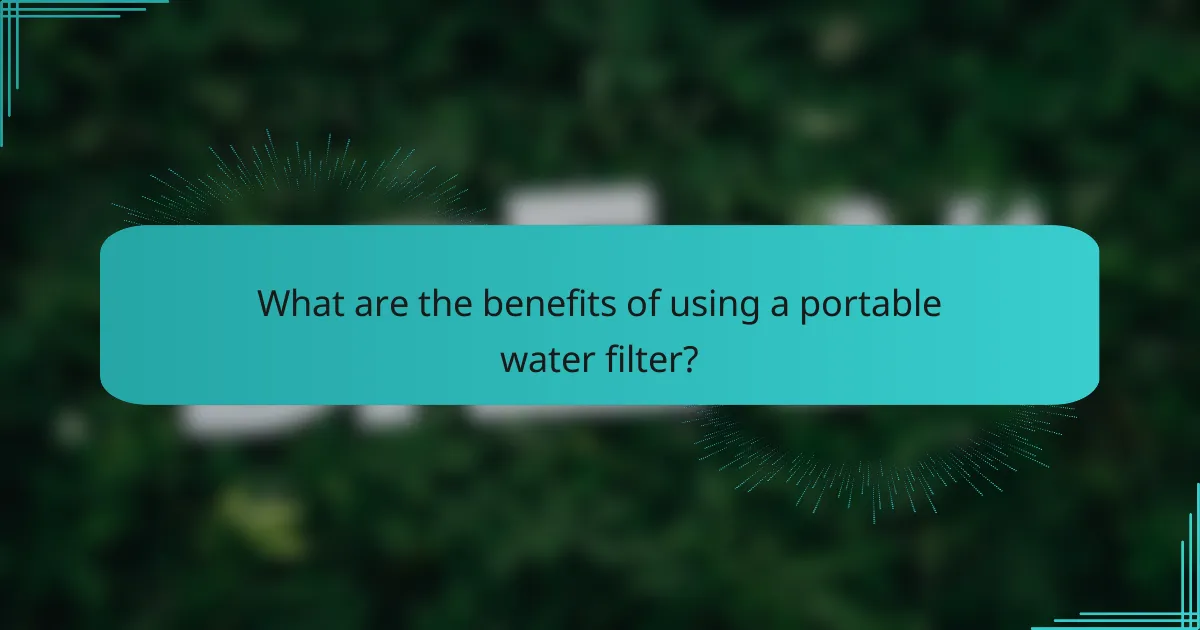What are the benefits of using a portable water filter?