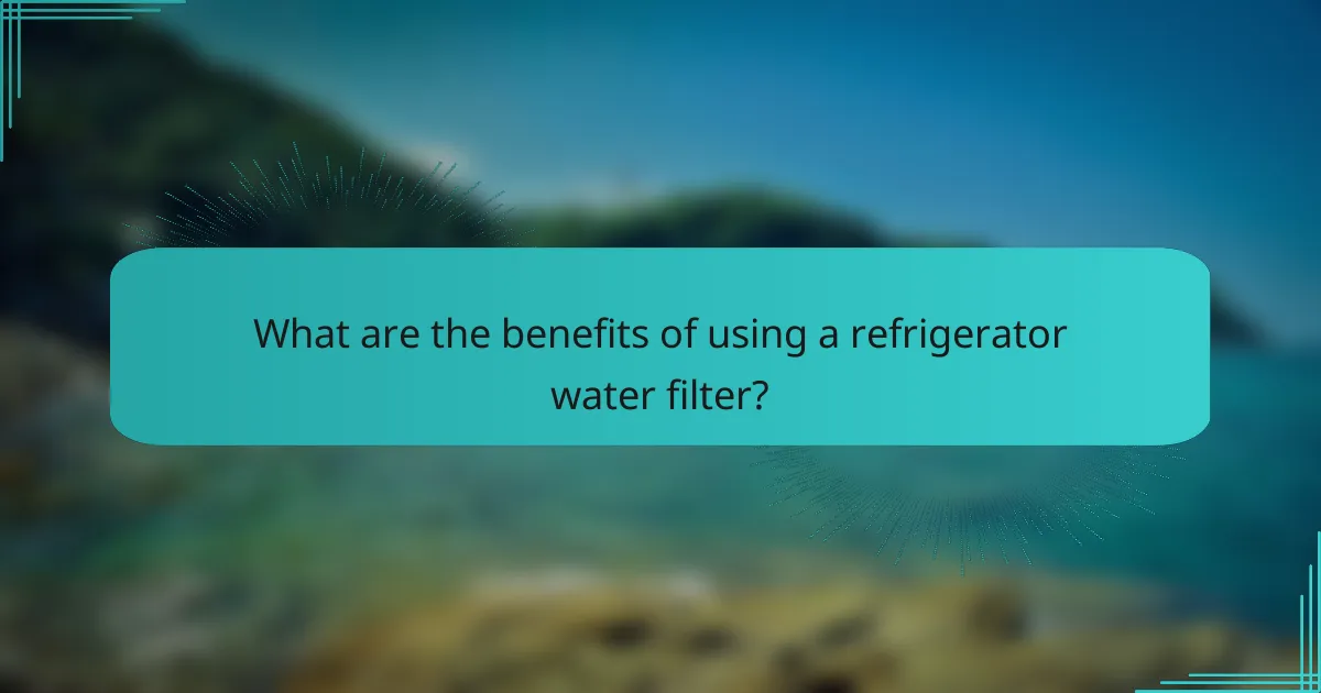 What are the benefits of using a refrigerator water filter?