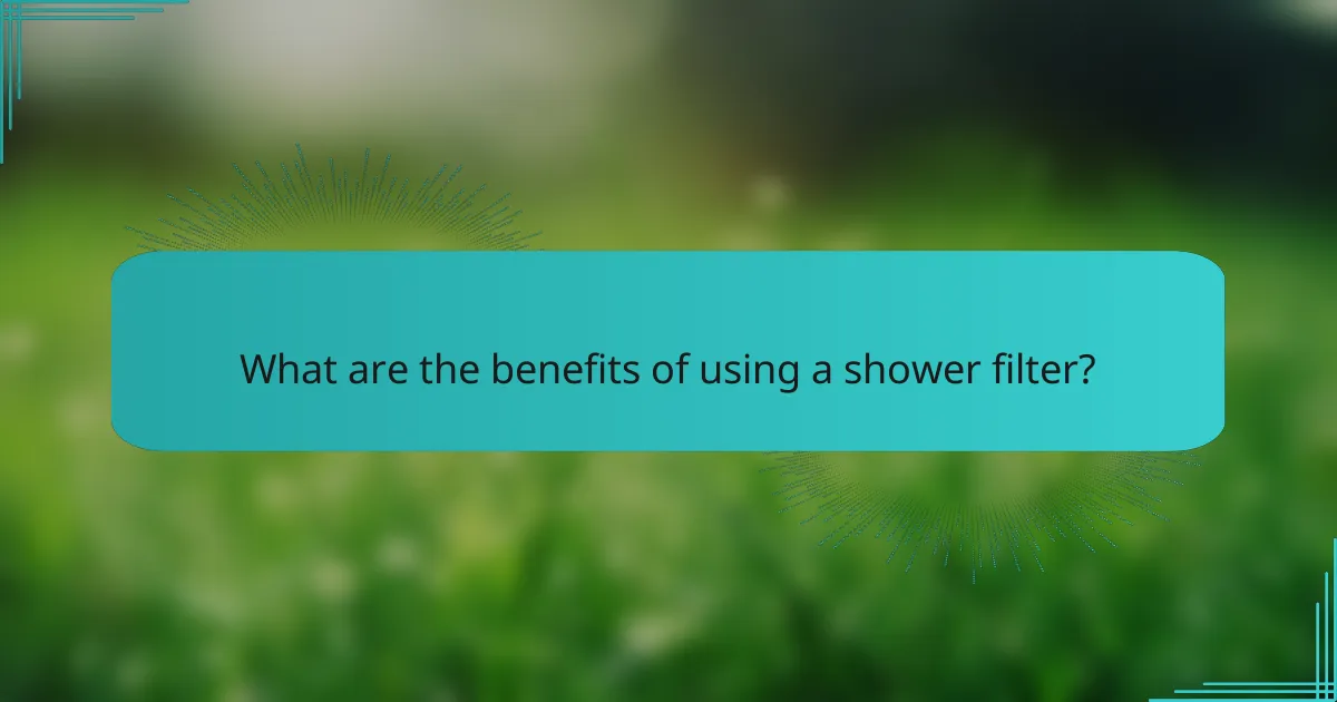 What are the benefits of using a shower filter?
