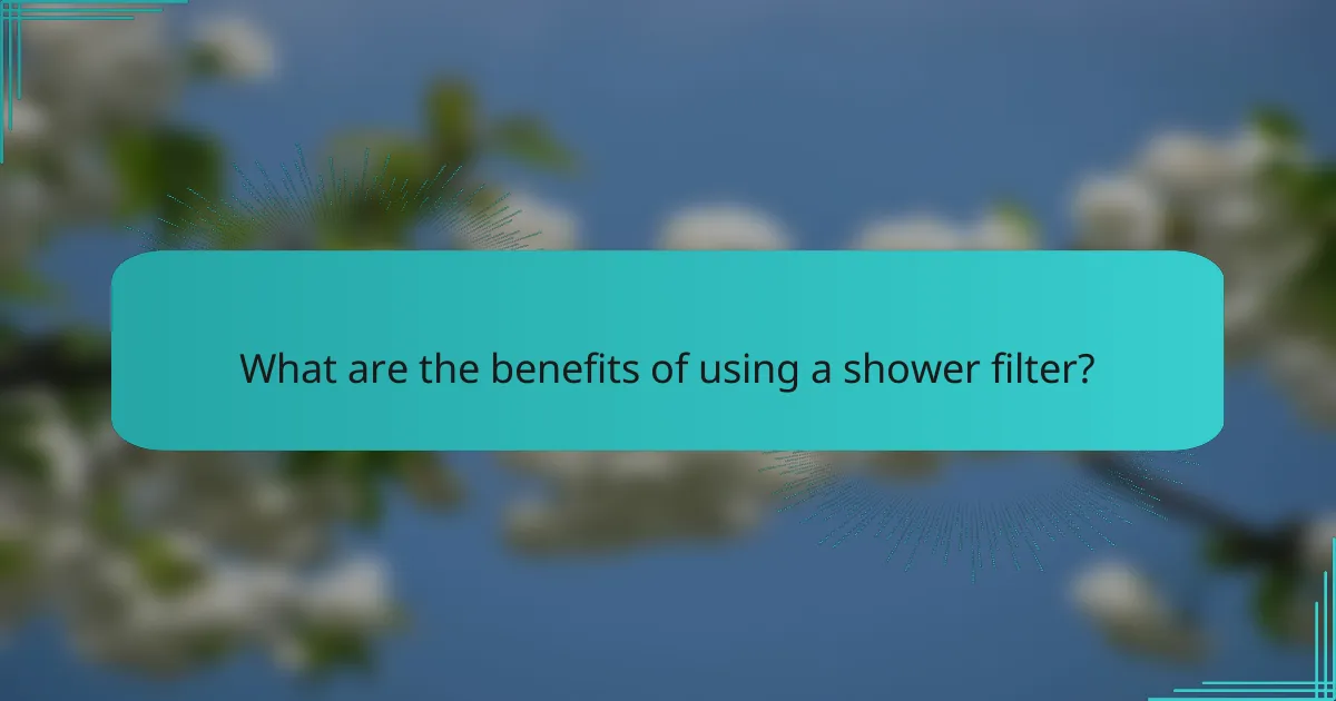 What are the benefits of using a shower filter?