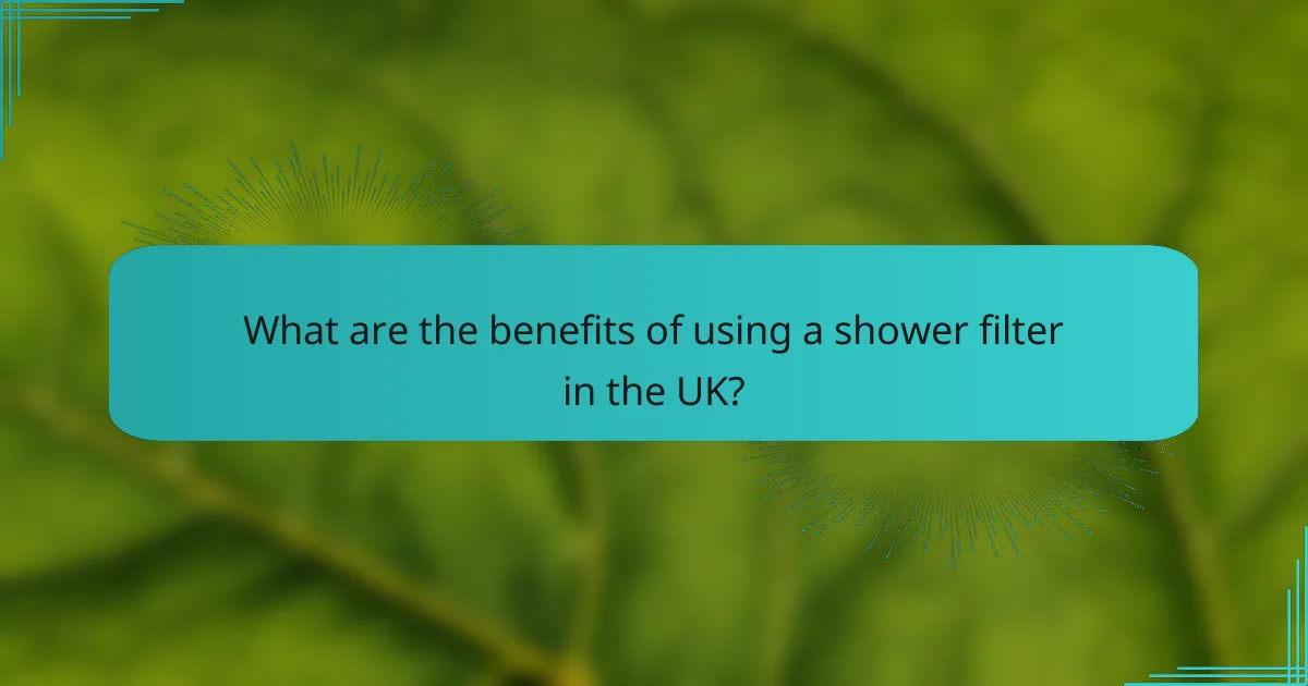 What are the benefits of using a shower filter in the UK?