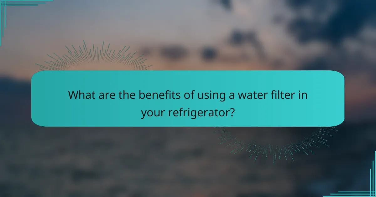 What are the benefits of using a water filter in your refrigerator?