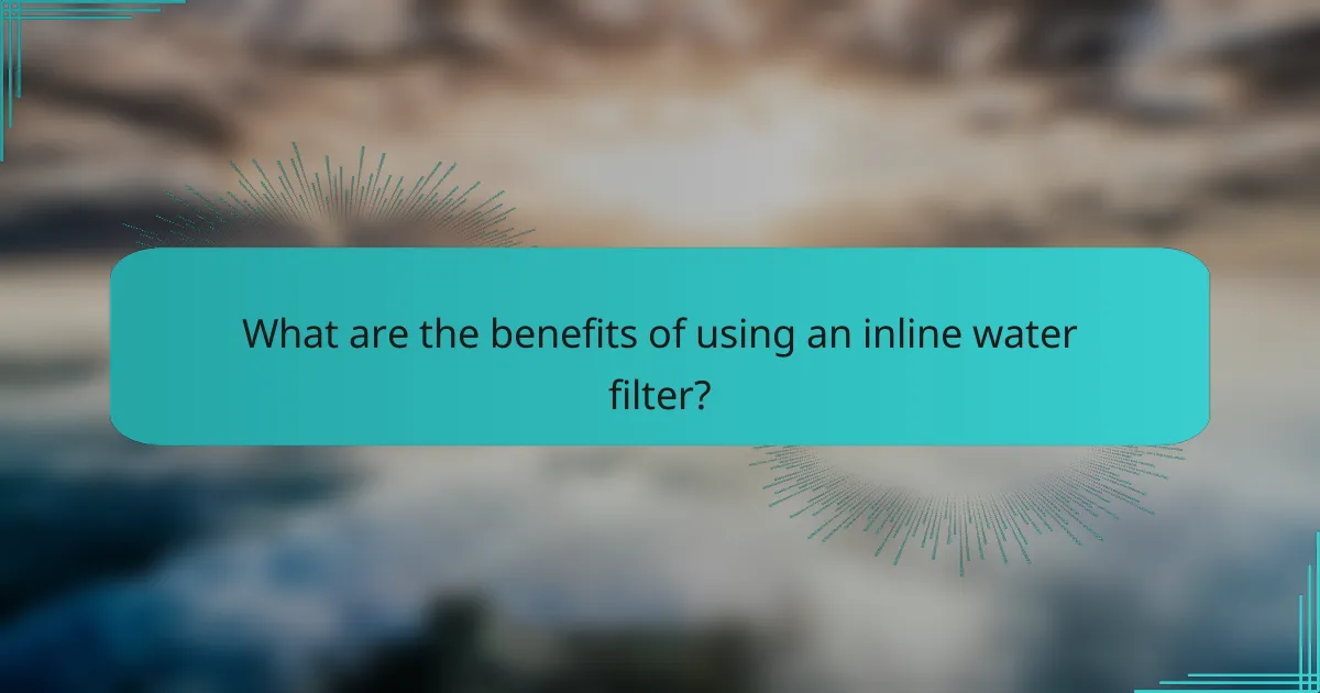 What are the benefits of using an inline water filter?