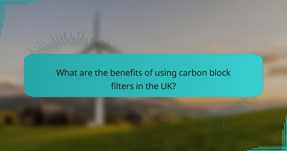 What are the benefits of using carbon block filters in the UK?