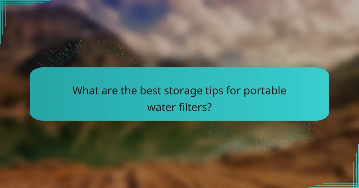 What are the best storage tips for portable water filters?