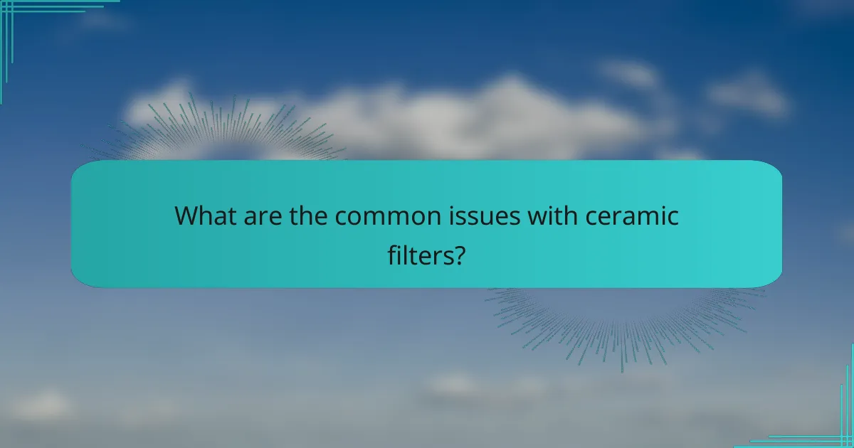What are the common issues with ceramic filters?