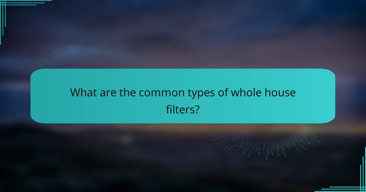 What are the common types of whole house filters?