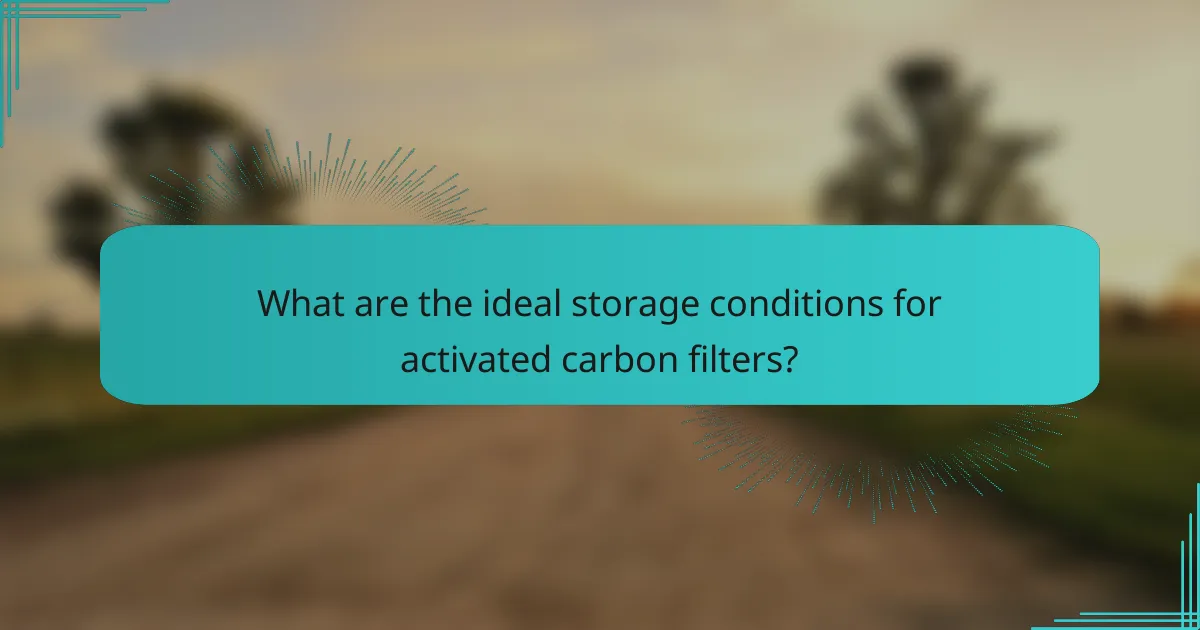 What are the ideal storage conditions for activated carbon filters?