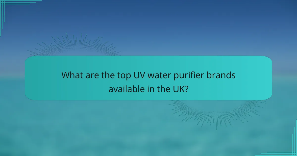 What are the top UV water purifier brands available in the UK?