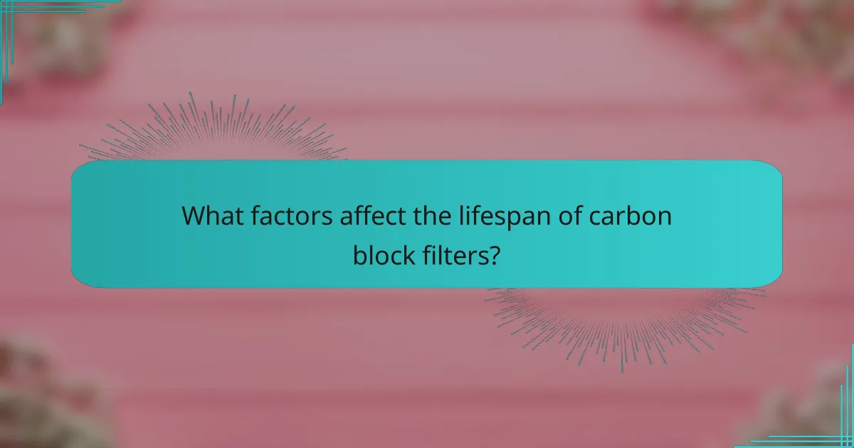 What factors affect the lifespan of carbon block filters?