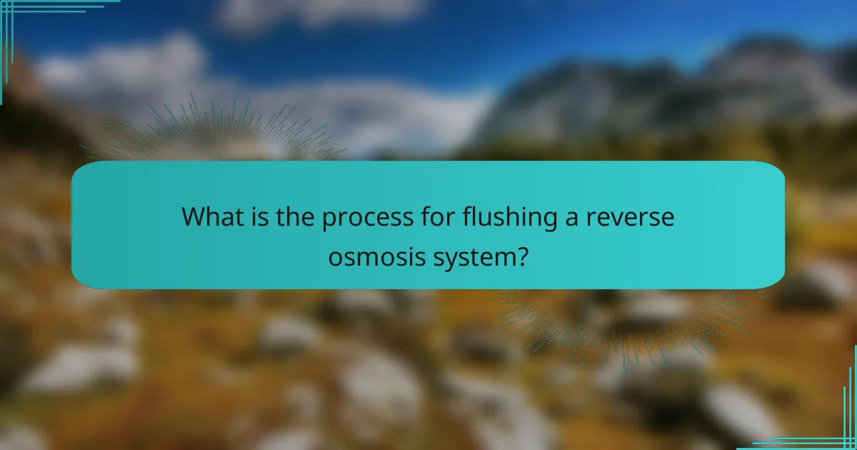 What is the process for flushing a reverse osmosis system?