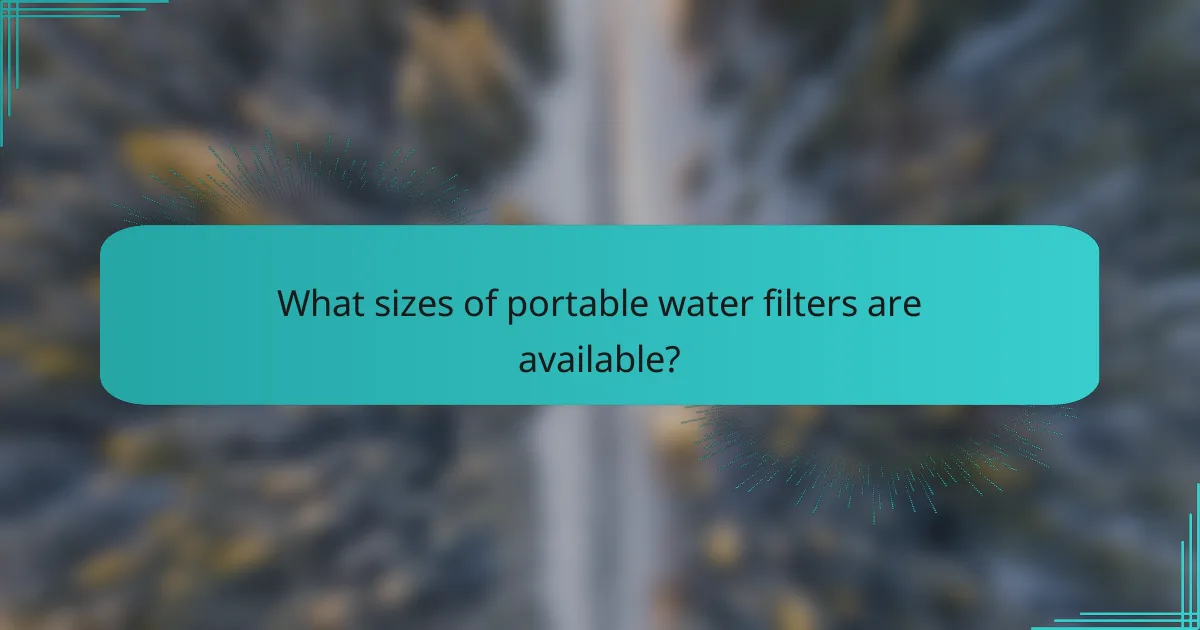 What sizes of portable water filters are available?