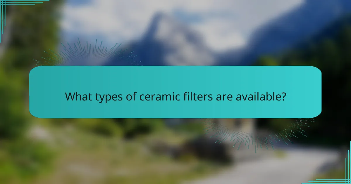 What types of ceramic filters are available?