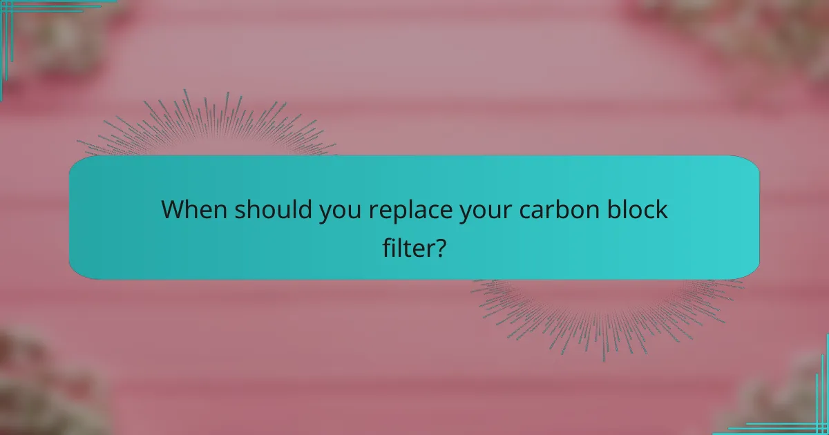 When should you replace your carbon block filter?